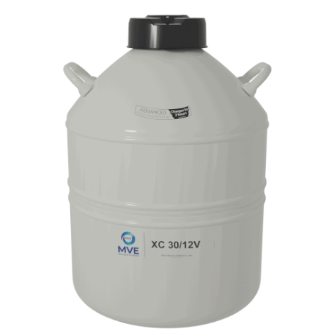 xc系列 xc系列