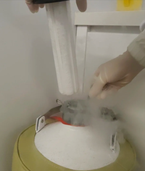 液氮罐 液氮罐